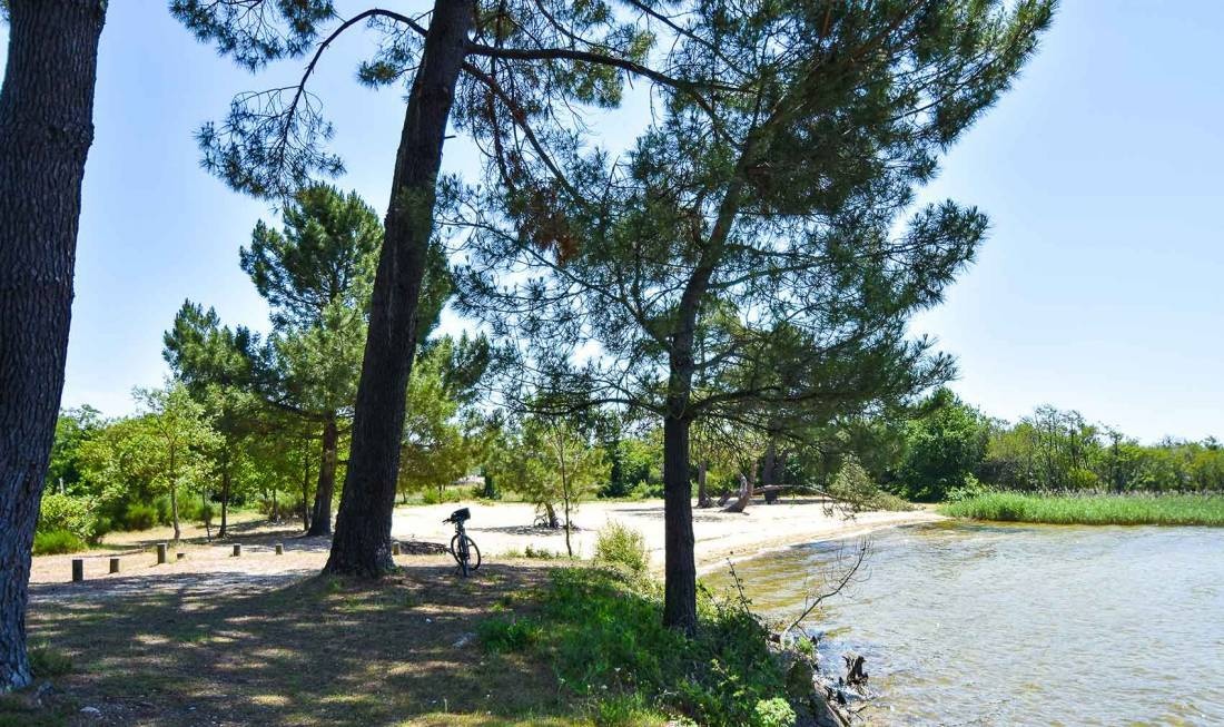 Camping La Forêt Lahitte Biscarosse — Kemp in Parentis-en-Born / Nouvelle-Aquitaine