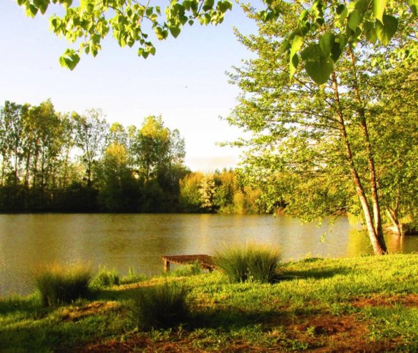 Camping de la Jamonière — Photo 2