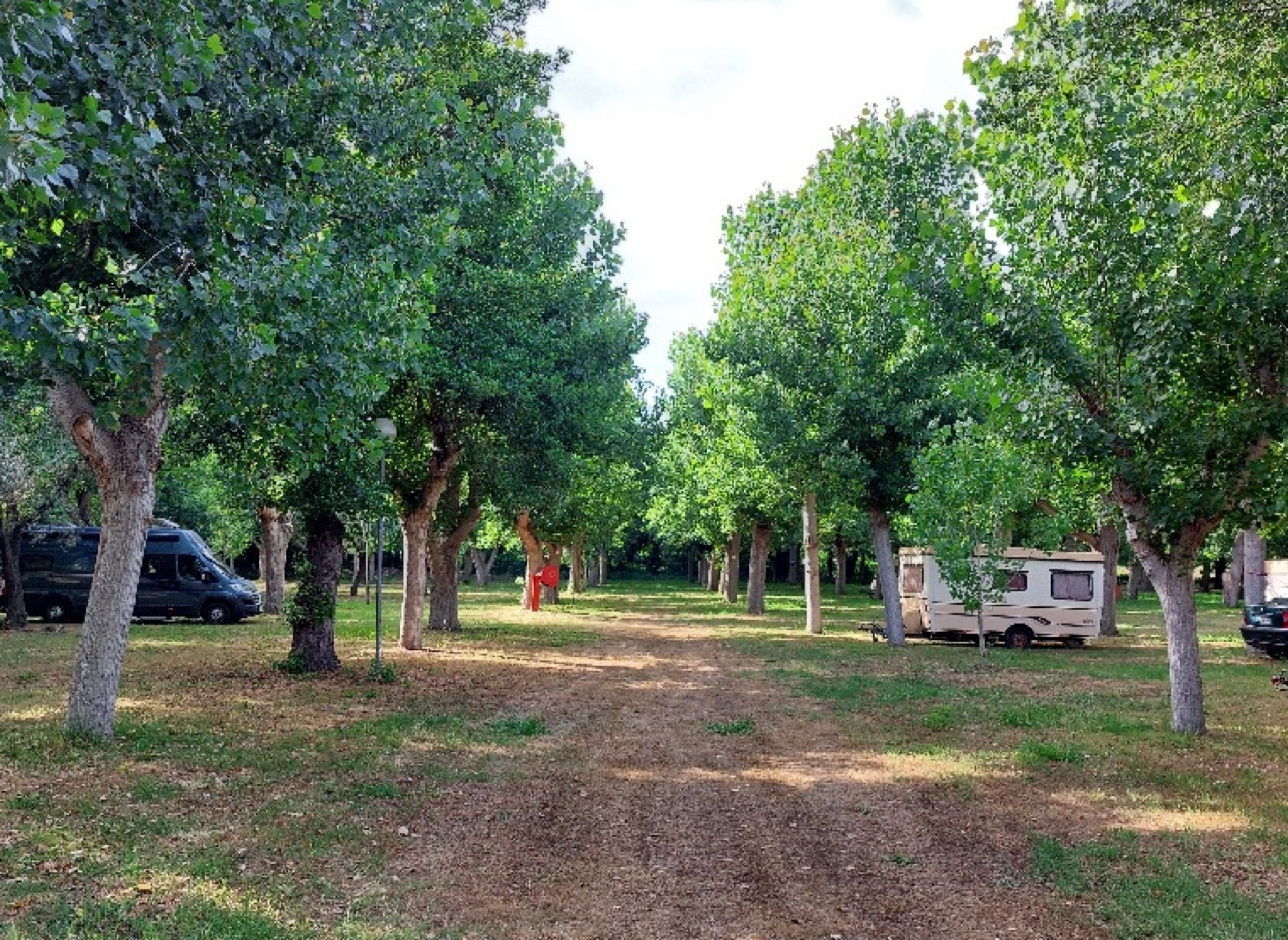 Camping La Liscia — Sítio de acampamento in Calcatoggio