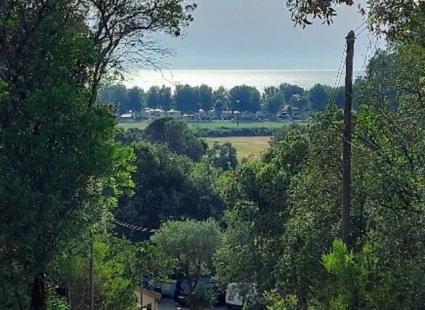 Camping La Liscia — Photo 6