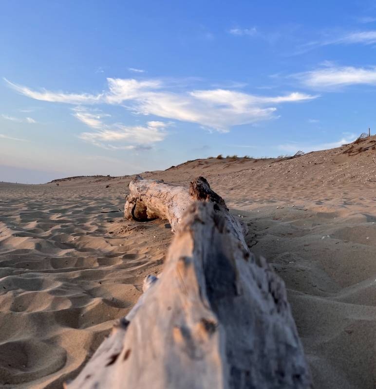 Camping Ferme Pédagogique de Prunay **** — Camping in Seillac / Centre-Val de Loire