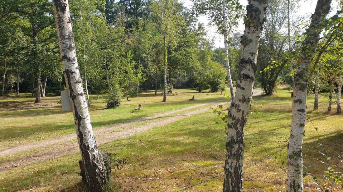 Camping Municipal Le Bout Du Pont * — Kemping in Ménétréol-sur-Sauldre / Centre-Val de Loire