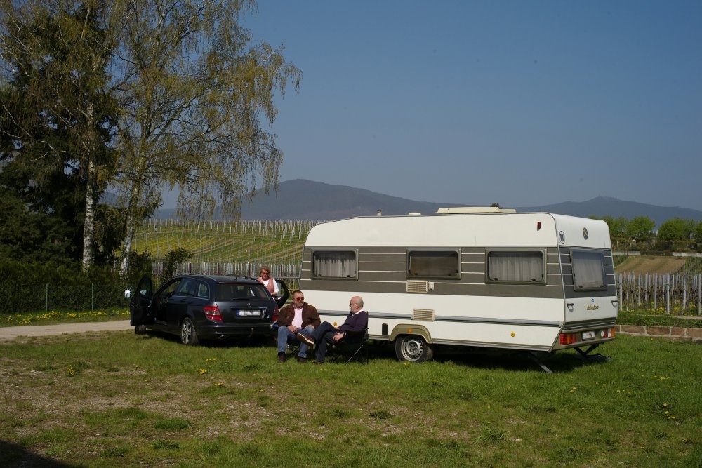 Stellplatz Weingut Rehm Edesheim — Wijnmakerij in Edesheim