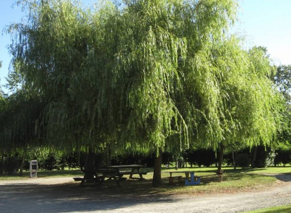 Camping le Madiran — Photo 3