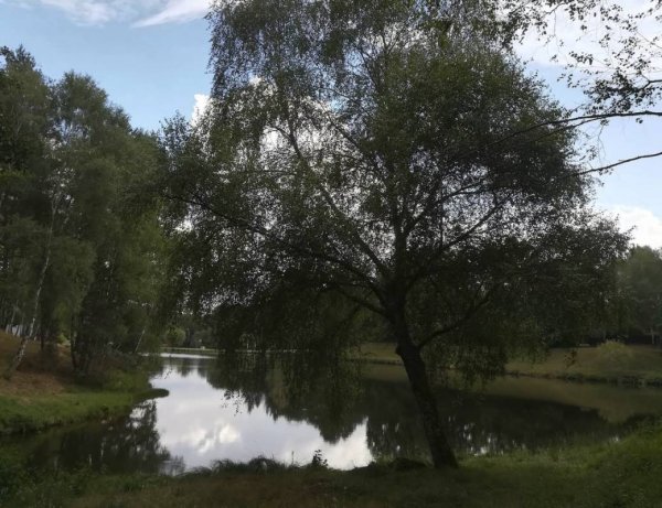 Camping de la Chataigneraie ** — Photo 2