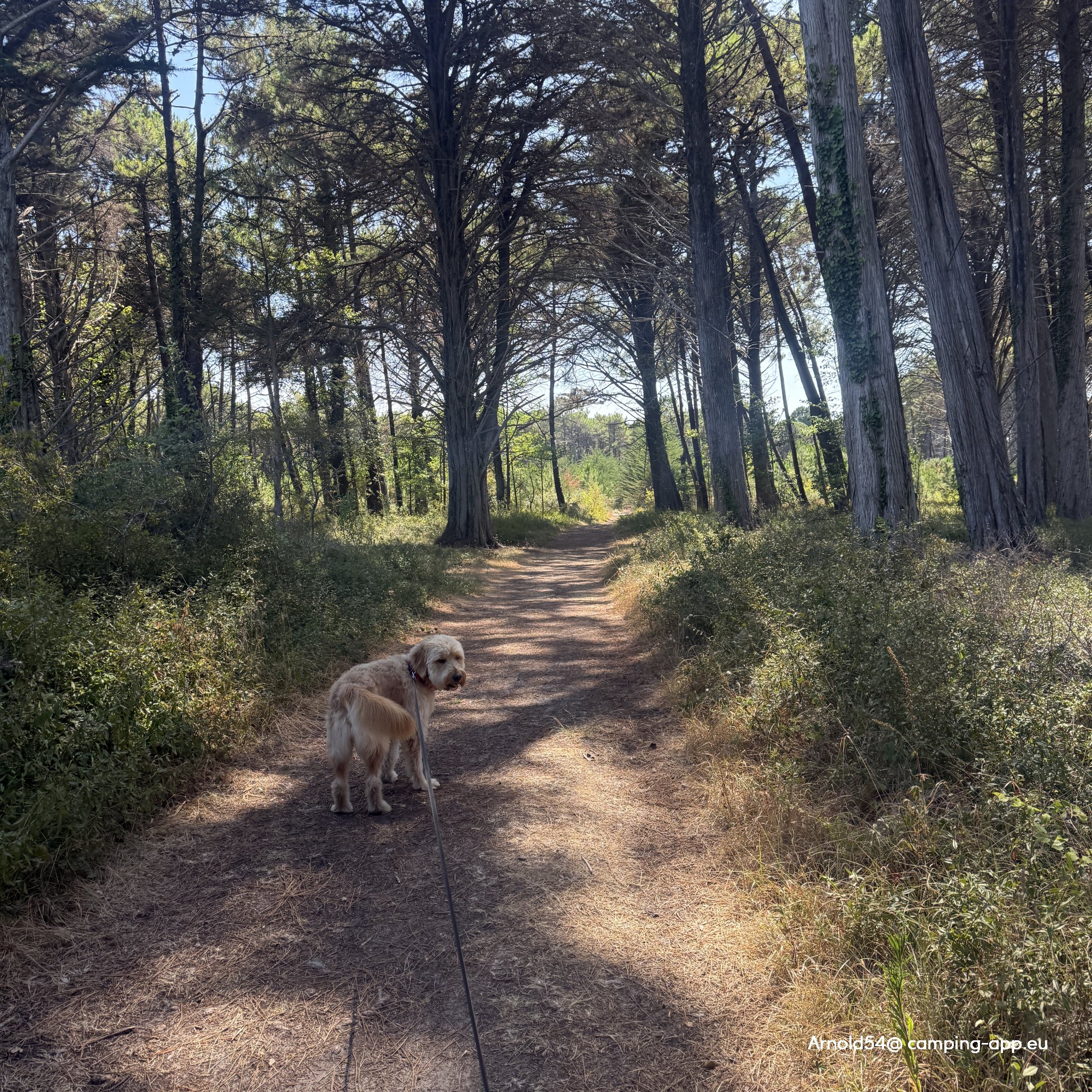 Camping Municipal des Sables Blancs ** — Foto 2