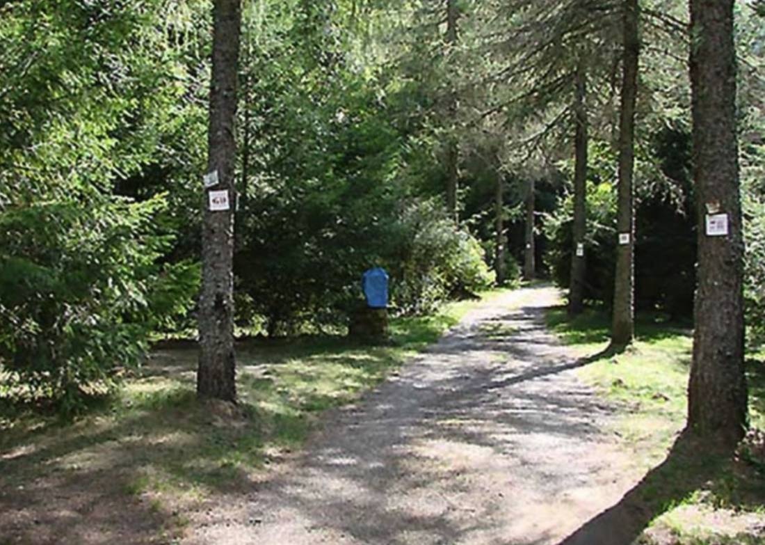 Camping Le Terondel ** — Campingplads in Saint-Sauveur-Camprieu