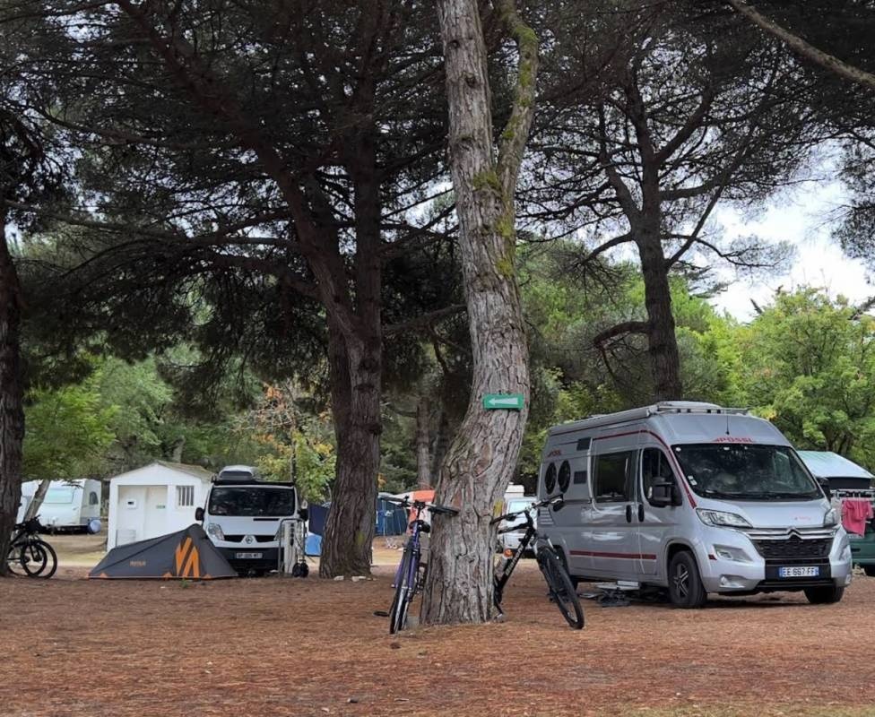 Camping GCU de la pierre qui vivre — Camping in Le Bois-Plage-en-Ré
