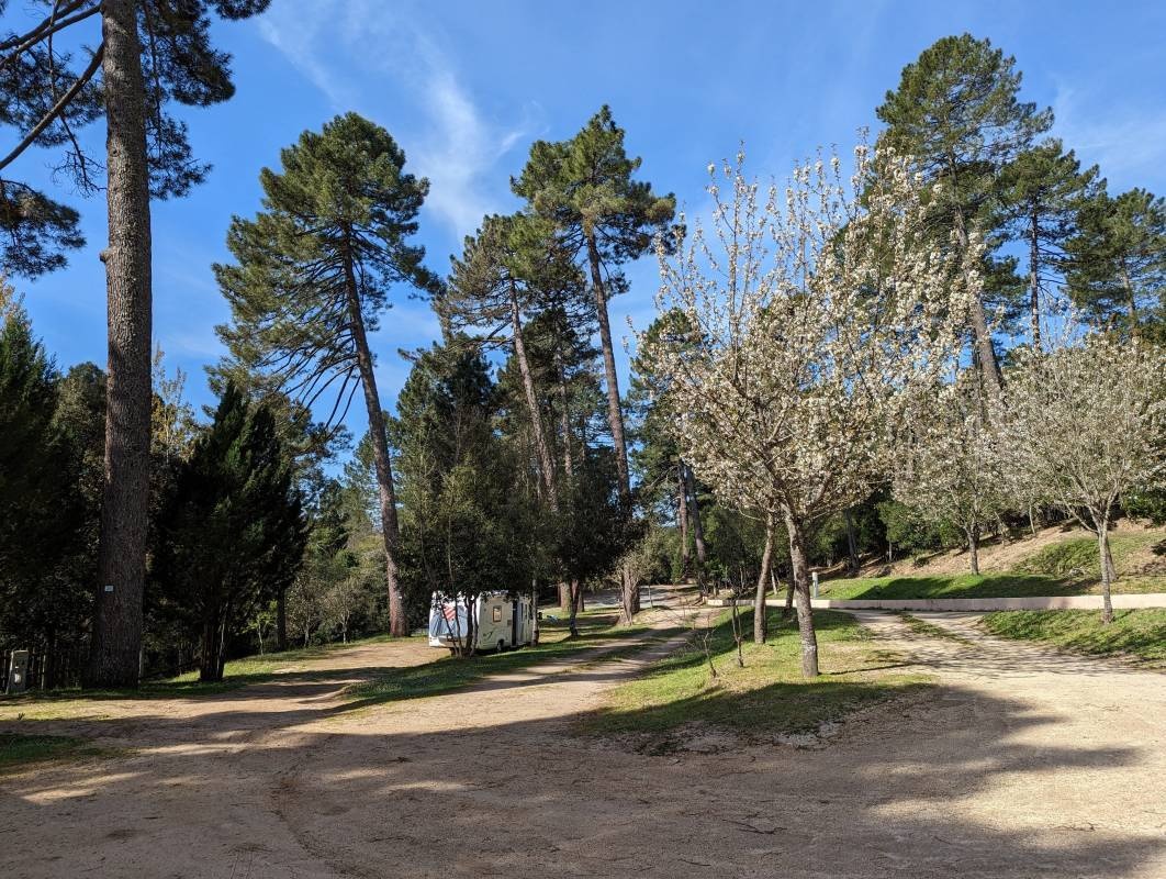 Camping La Riviere — Sítio de acampamento in Zonza / Corse