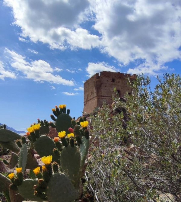 Camping Funtana a Ora — Photo 6