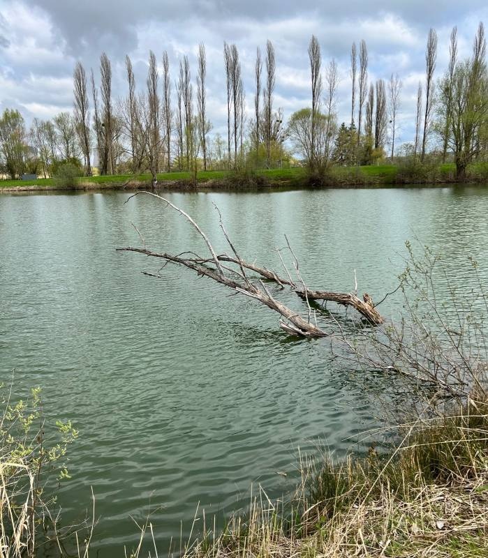 Camping Camp Municipal — Area da campeggio in Malling