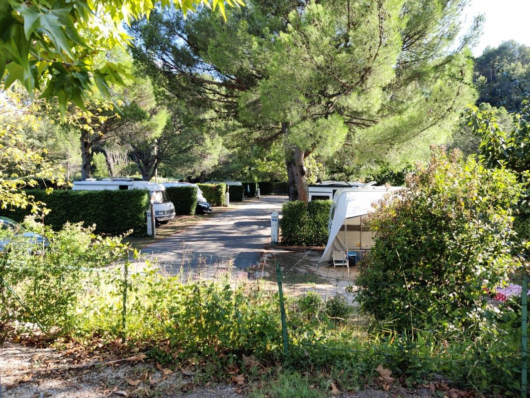 Camping Municipal Roquefiguier — Campingplads in Beaumes-de-Venise