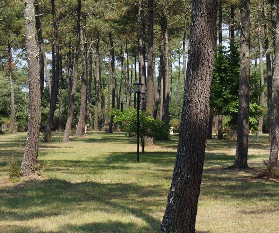 Le Camping Municipal de l'Arriu — Camping in Pissos