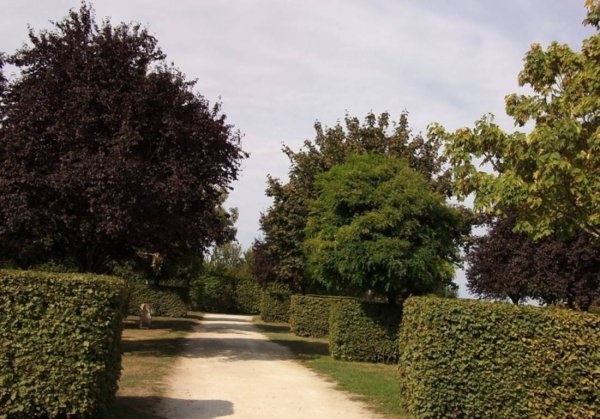 Camping Municipal Le Pont d'Orne — Photo 4