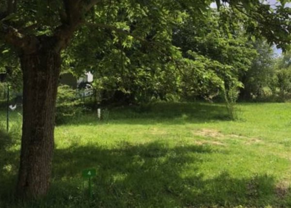 Camping Les Eychecadous *** — Photo 3