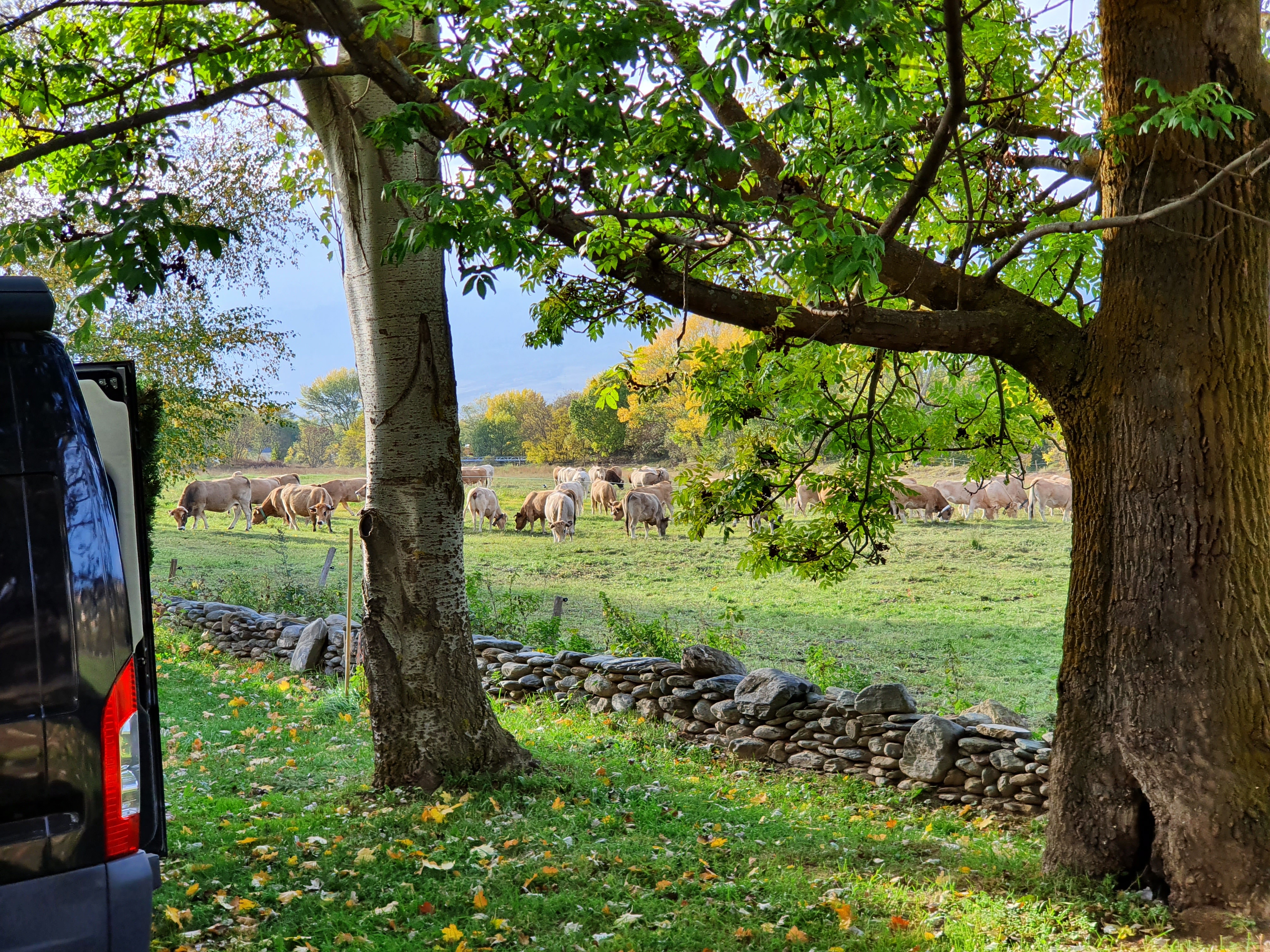Camping Las Asperas — Campingplass in Palau-de-Cerdagne / Occitanie