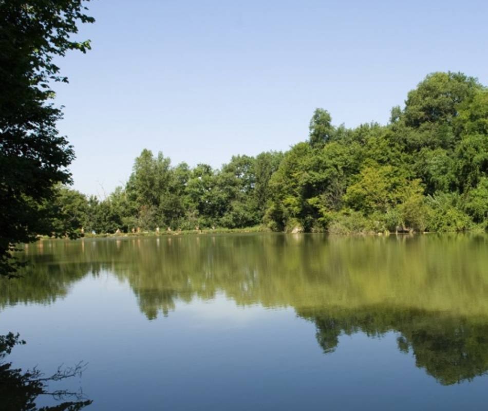 Domaine Devèze (Naturisten Camping) — Campingplats in Gaudonville