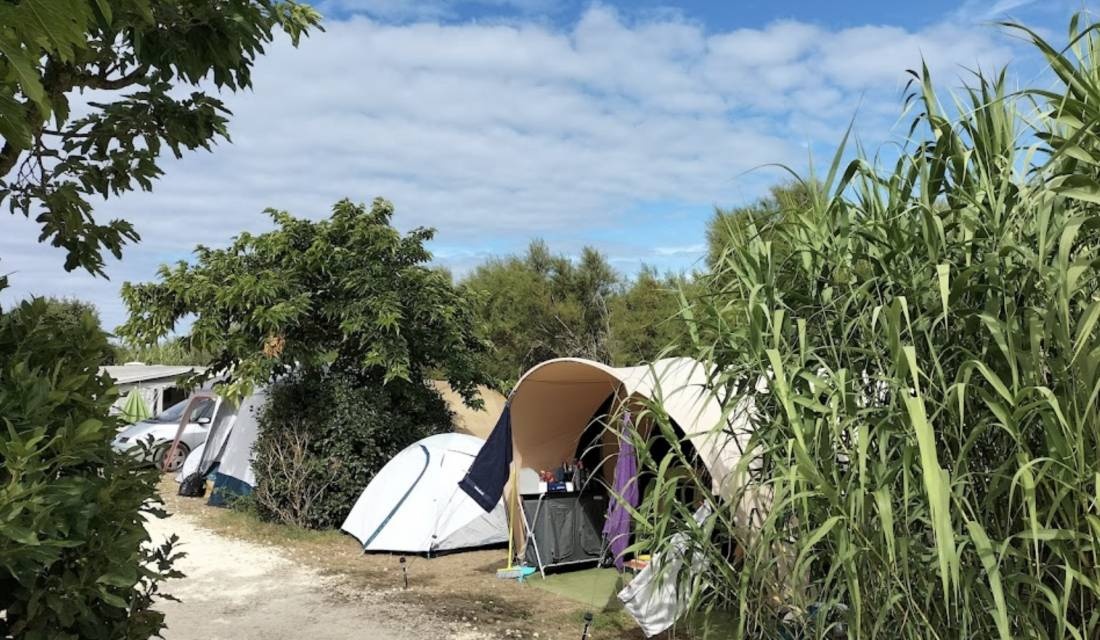 Camping Le Chassiron — Kamp yeri in Saint-Denis-d'Oléron / Nouvelle-Aquitaine