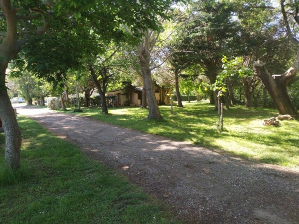 Camping SANTA MARINA — Photo 4