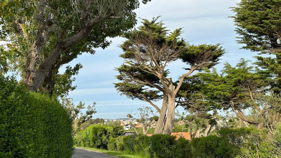 Camping Juantcho — Kemp in Urrugne