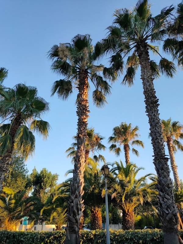 Eden Camping — Kemping in Lattes / Occitanie