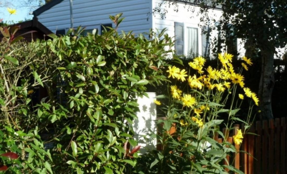 Camping Bay of Somme — Kemping in Le Crotoy / Hauts-de-France