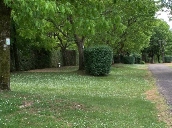 Camping Les Poutiroux **** — Photo 2