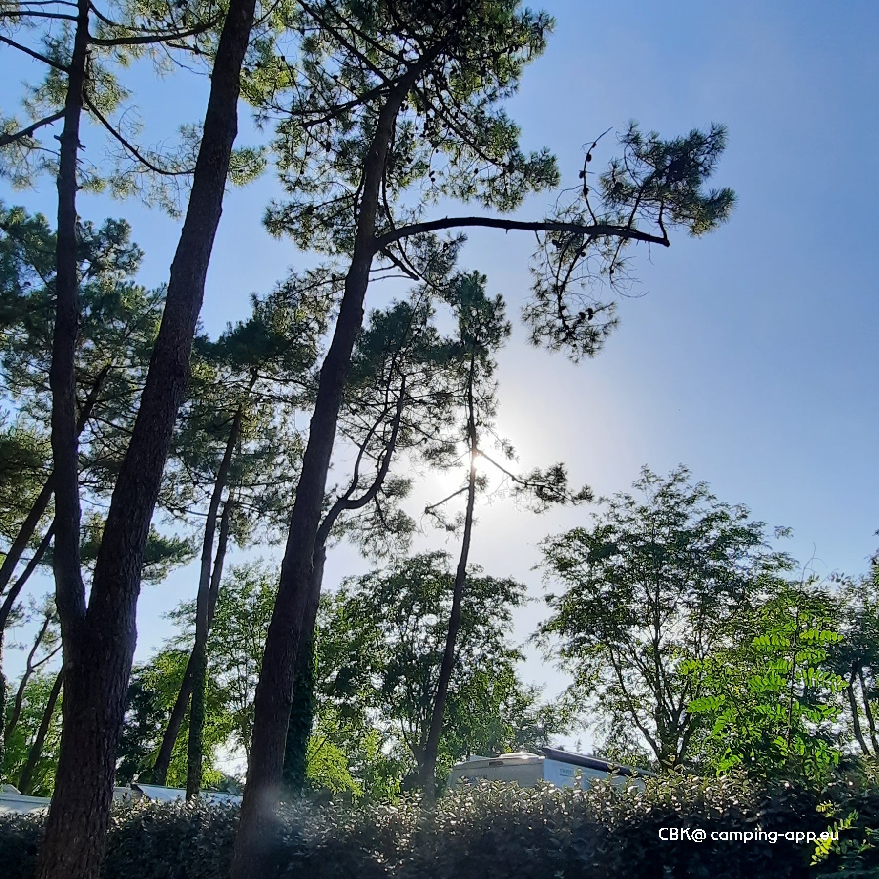 Camping Le Dauphin ** — Zdjęcie 5