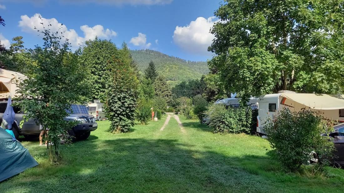 Camping Les Amis de la Nature — Cámping in Luttenbach-prés-Munster