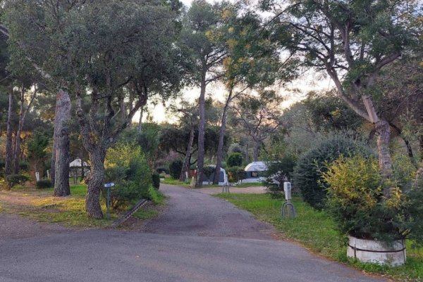 Camping GCU Cavalaire-sur-Mer — Photo 5