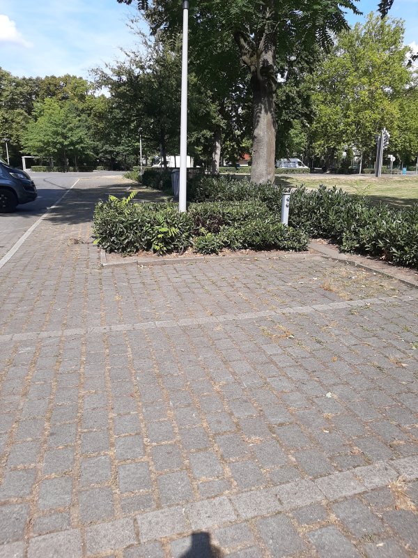 WoMo Stellplatz Ahlen — Foto 3