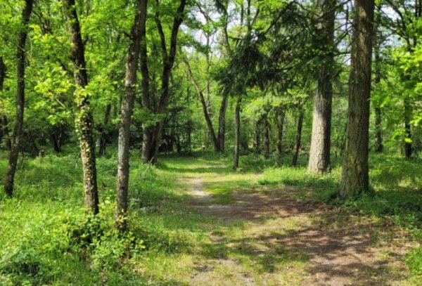 Club du Soleil de l'Essonne (Naturisten Camping) — Photo 3