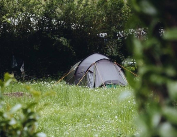 La Chasse aux Papillons — Photo 4