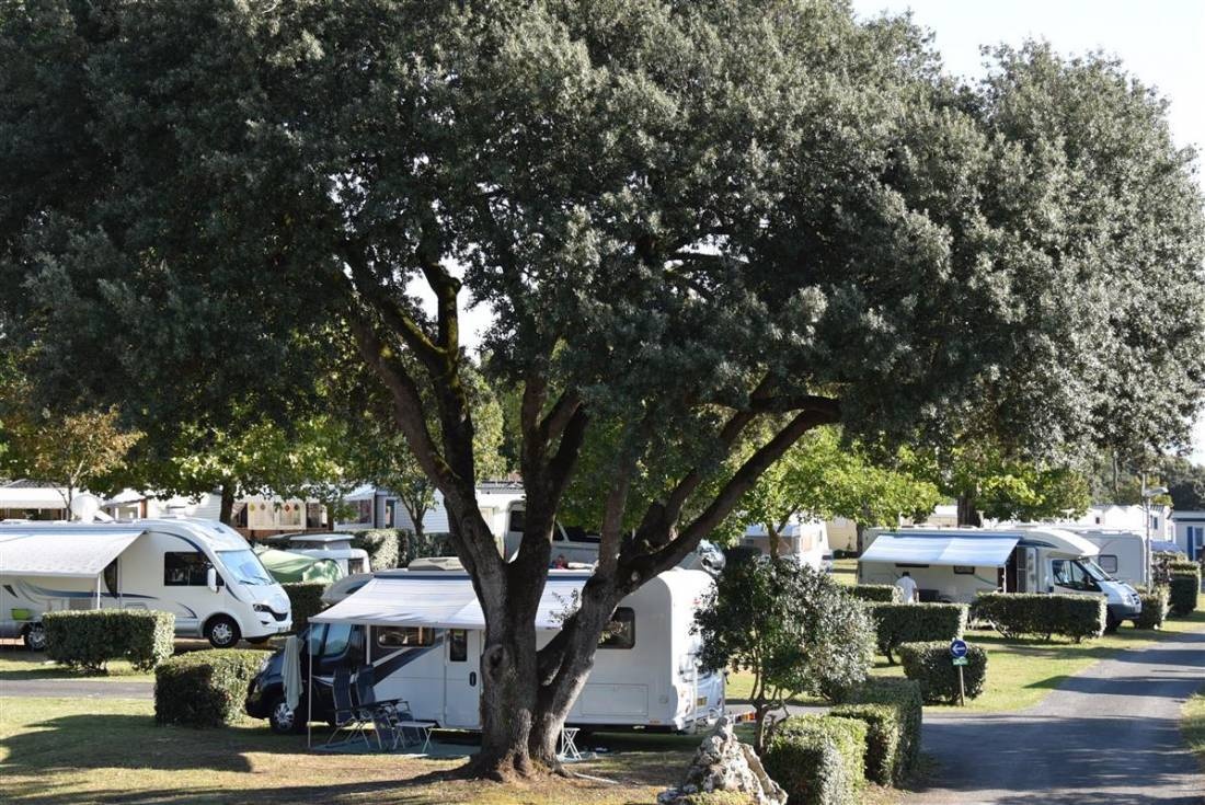Camping*** Le Domaine de Bernezac — Camping in Saint-Palais-sur-Mer