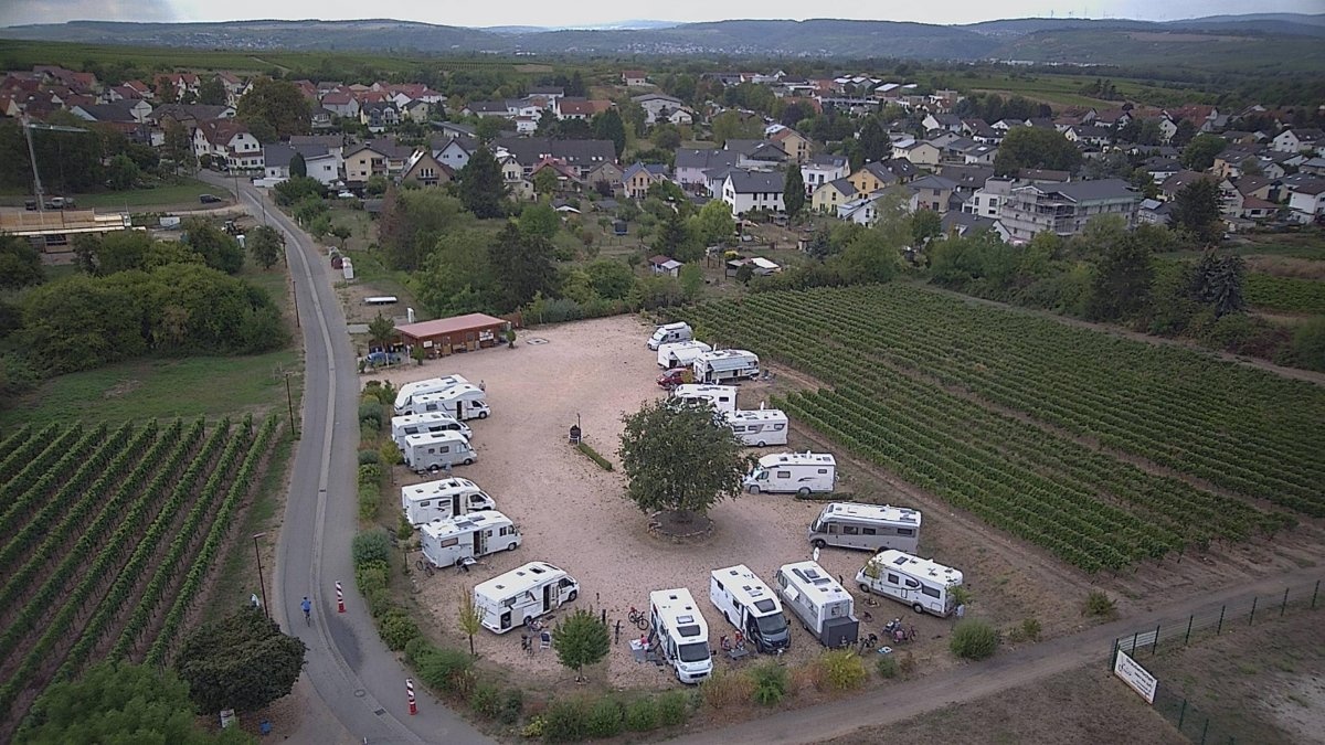 Metzis Panoramablick Ockenheim — Camperplads in Ockenheim