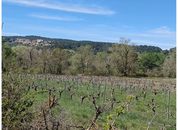 Camping Le Voconce *** — Photo 3