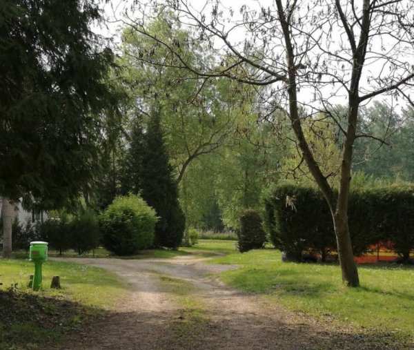 Camping Les Araucarias ** — Foto 5