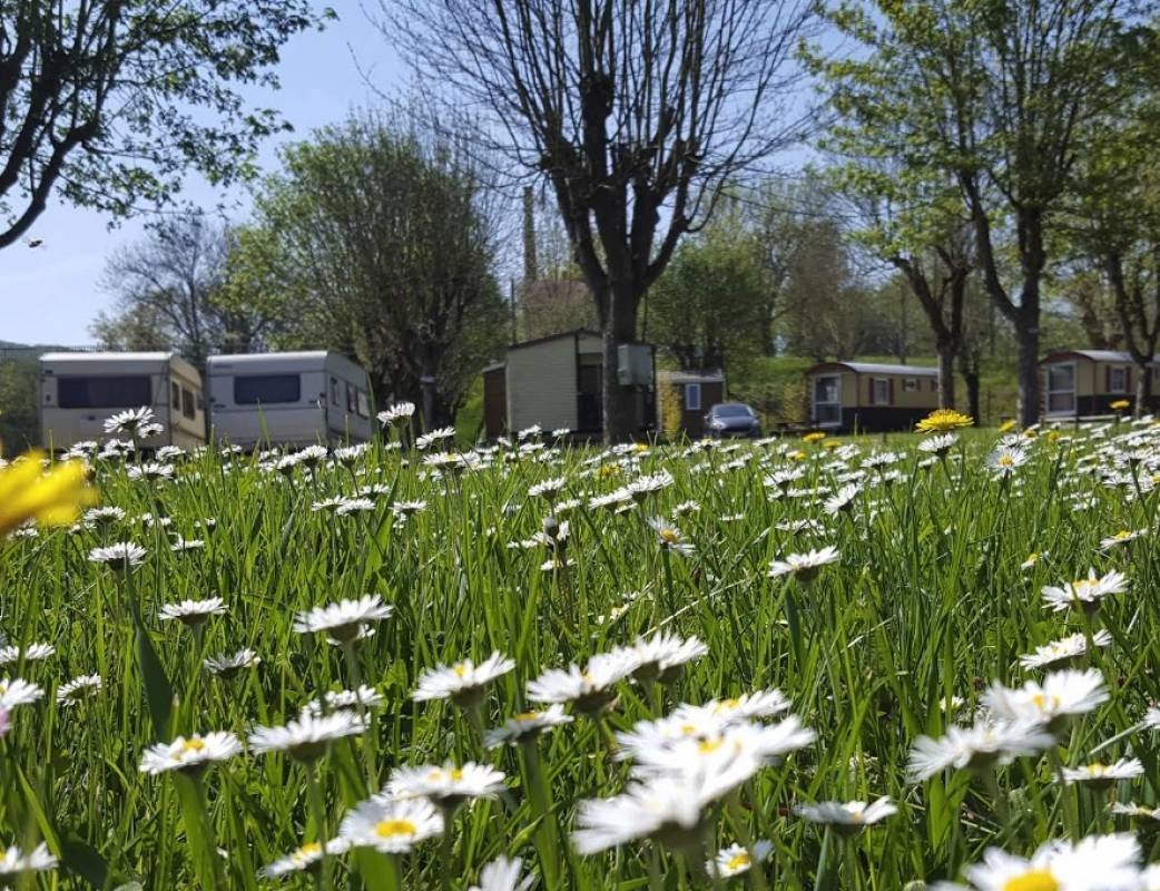 Camping des Îles *** — Kemping in Saint-Julien-du-Sault 