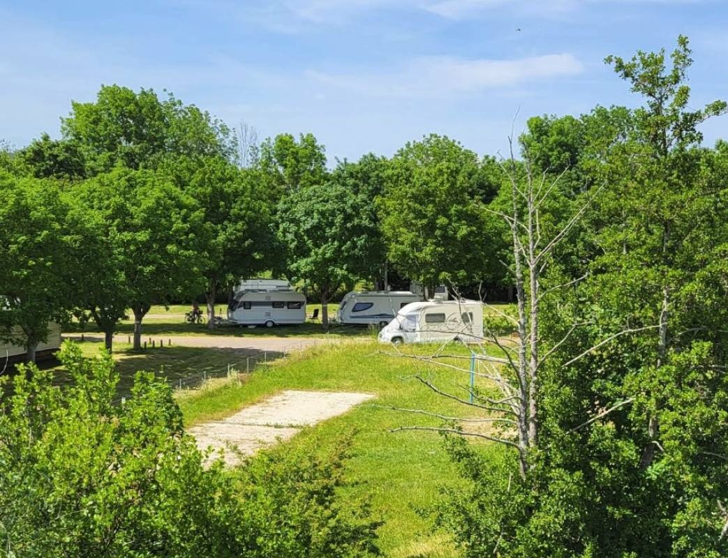 Camping des Îles *** — Kamp yeri in Saint-Julien-du-Sault 