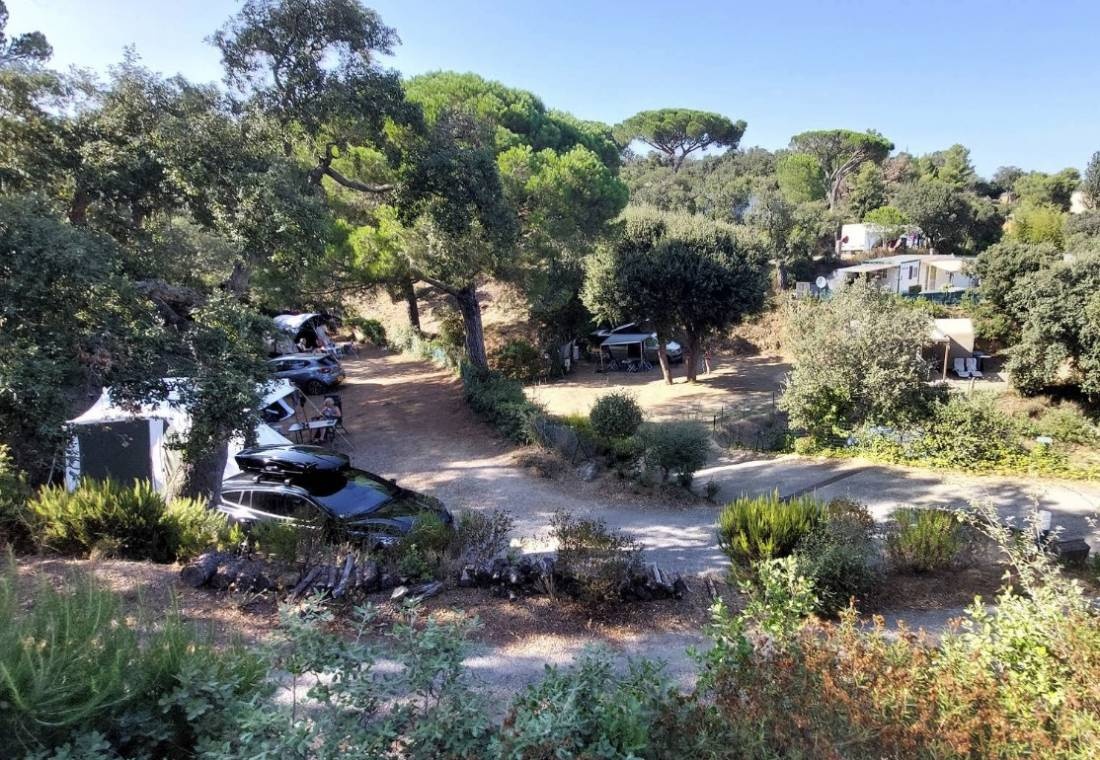Camping Les Lauriers Roses — 露营地 in Fréjus