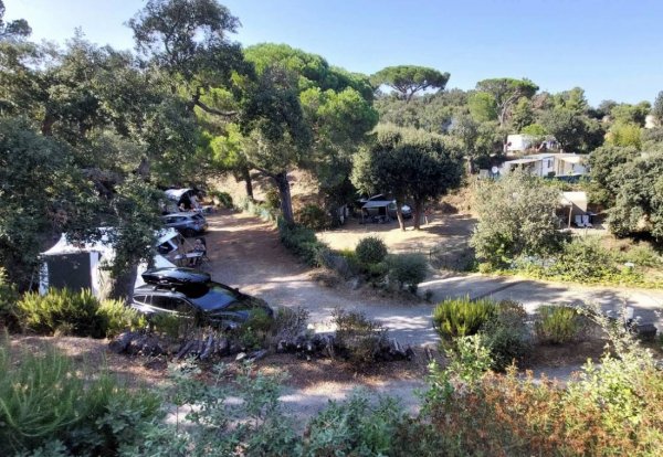 Camping Les Lauriers Roses — Photo 4