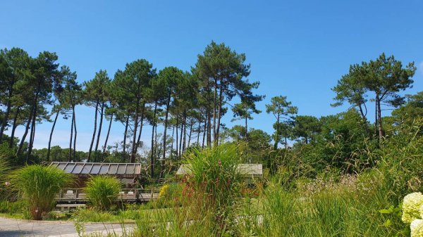 Arnaoutchot Camping Naturiste (FKK)