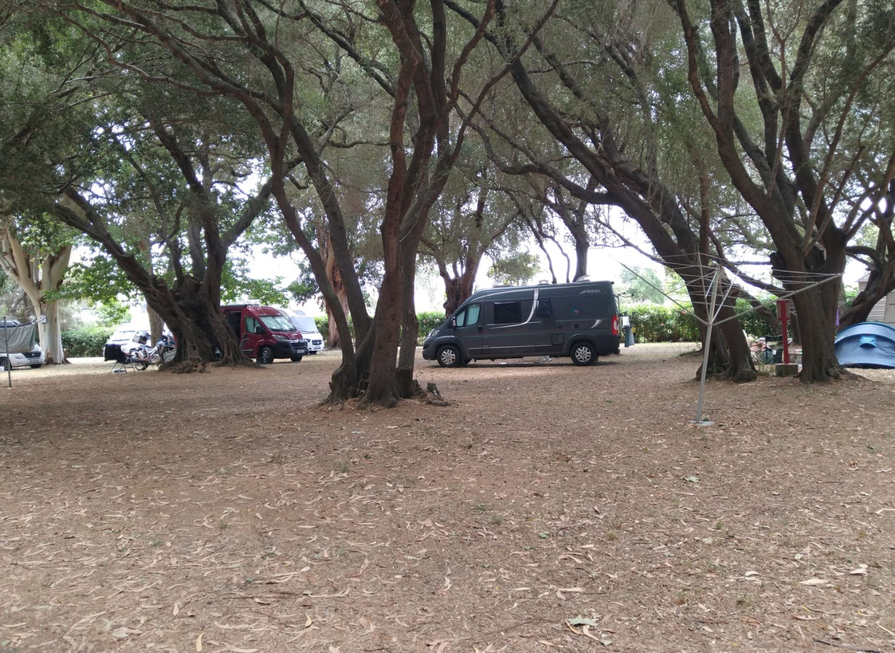 Camping d'Olzo *** — Sítio de acampamento in Saint-Florent / Occitanie