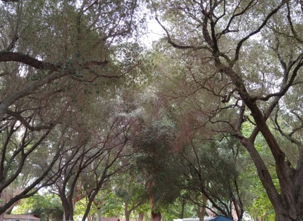 Camping d'Olzo *** — Foto 4