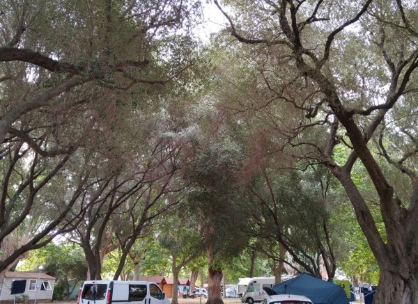 Camping d'Olzo *** — Foto 2