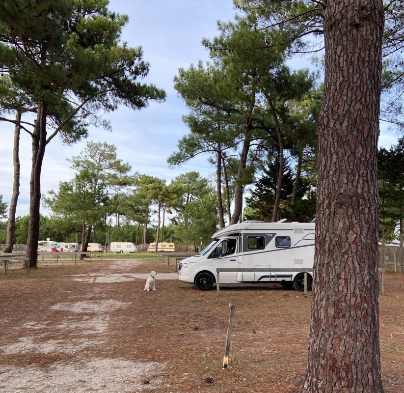 Camping Municipal de l'Océan — Kemping in Vendays-Montalivet