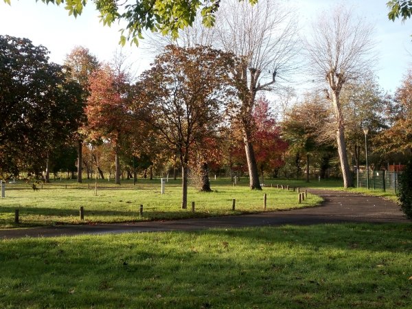 Camping municipal — Photo 3