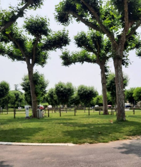 Aire Camping-Car Park — Photo 3