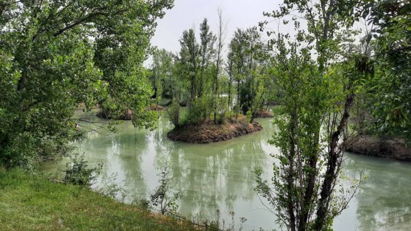 Aire Camping-Car Park — Zdjęcie 5