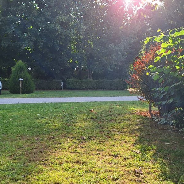 Camping La Bien Assise ***** — Photo 4